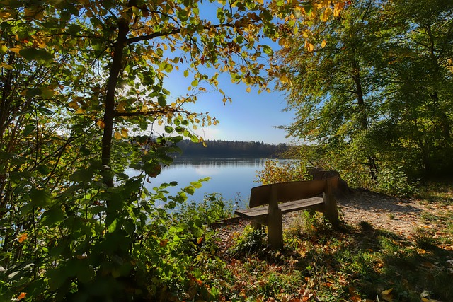 不仅具备出 不仅具备出