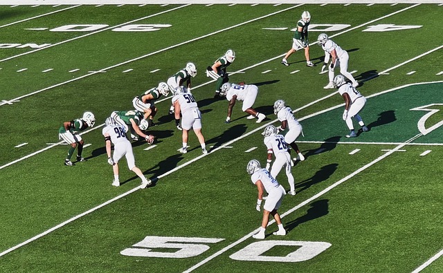 灰熊队一起 灰熊队一起