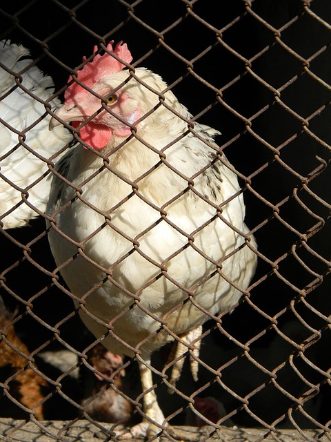 的稳定发展 的稳定发展