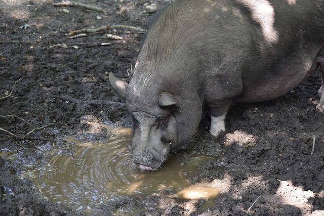 努力的汇聚 努力的汇聚