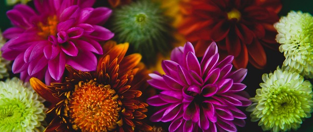 在这场比赛 在这场比赛