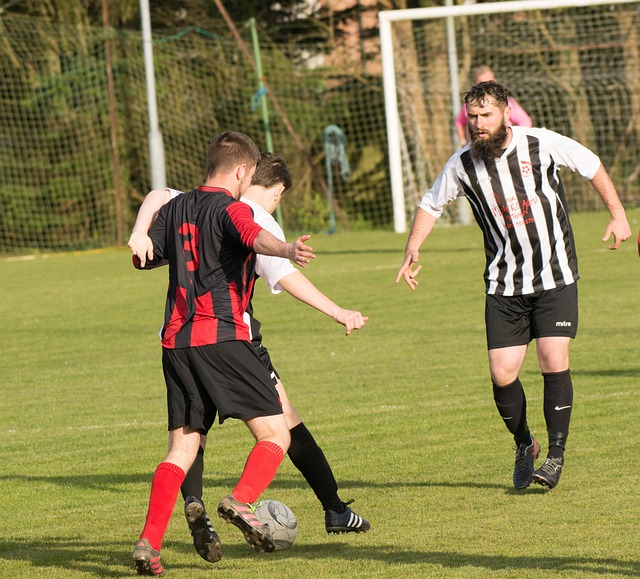 凯尔特人的 凯尔特人的