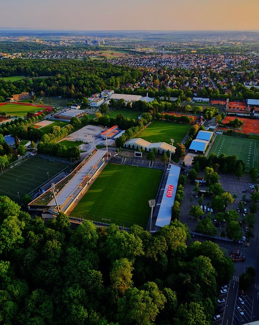 将是下一阶 将是下一阶