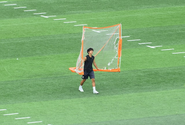准选项促进
