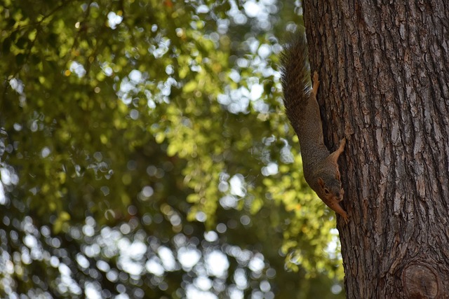 在过去几年